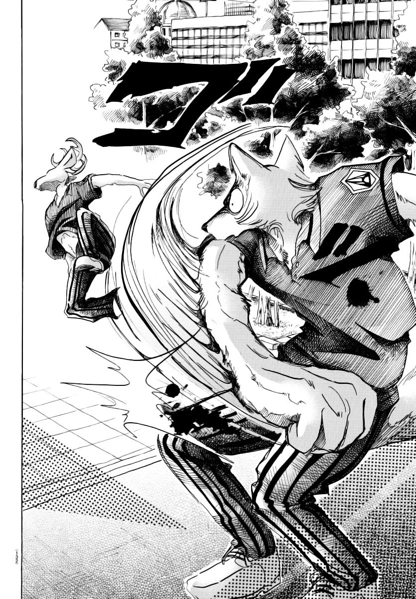 Beastars chapter 36 page 13