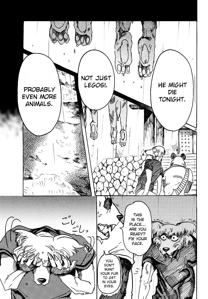 Beastars chapter 37 page 19