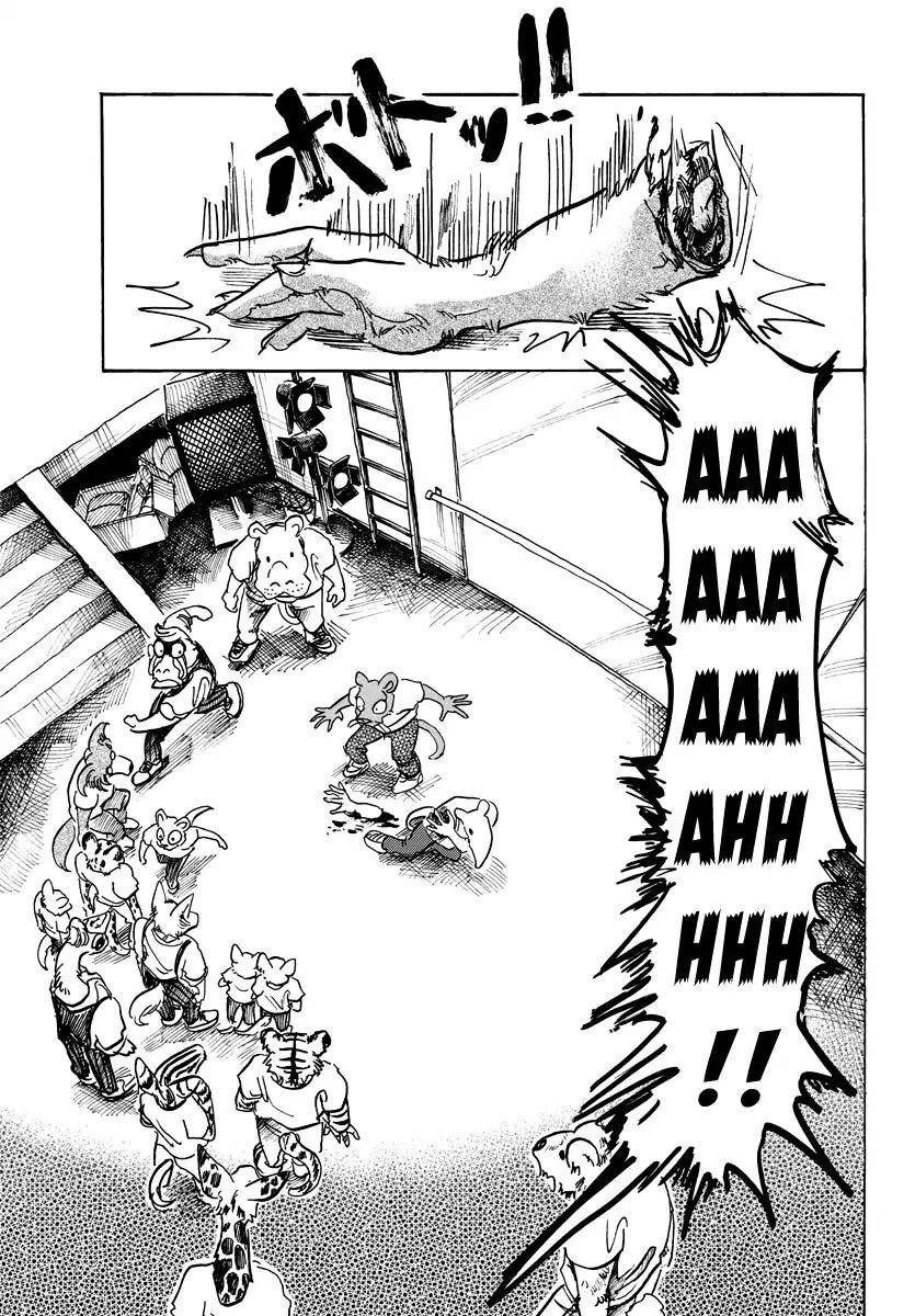 Beastars chapter 71 page 5