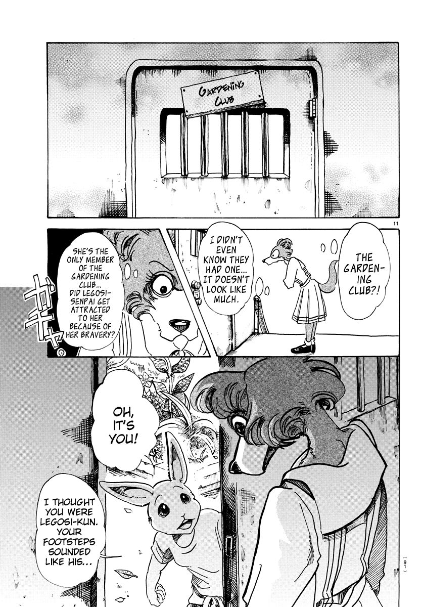 Beastars chapter 79 page 10