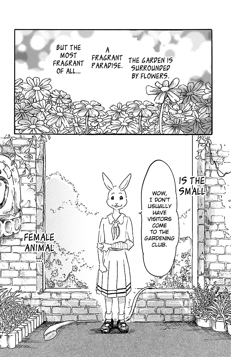 Beastars chapter 8 page 3