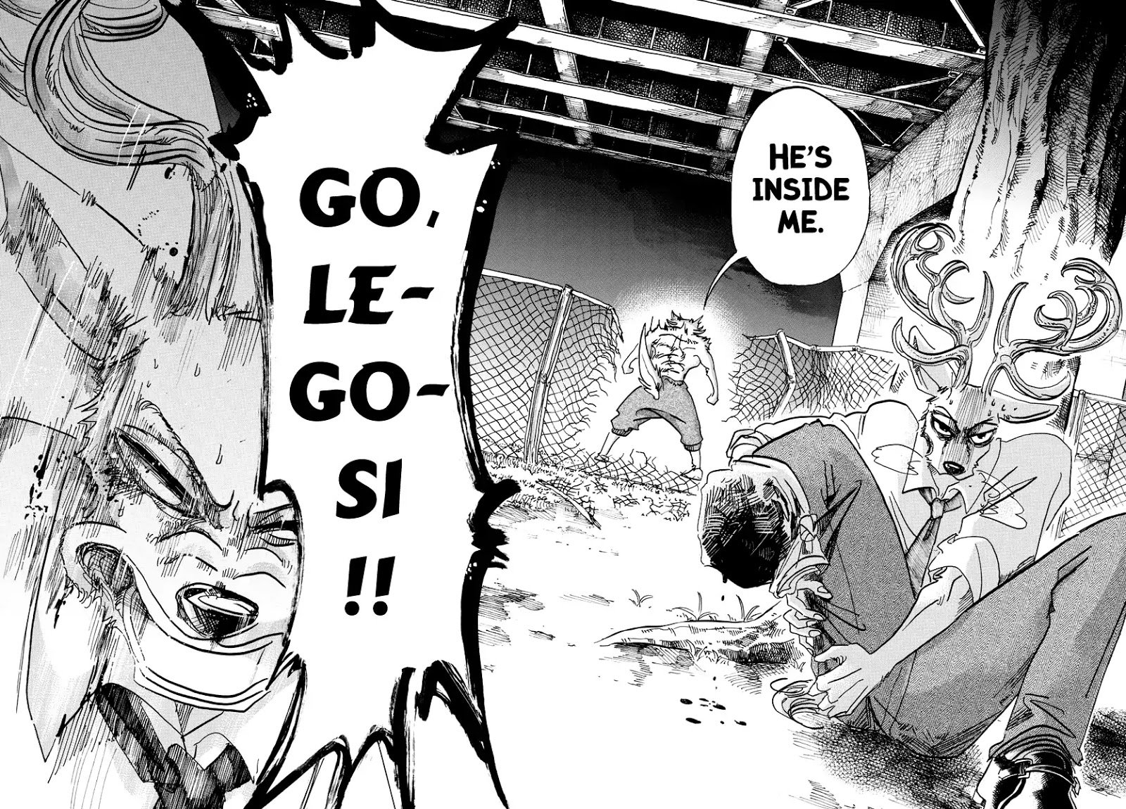 Beastars chapter 96 page 7
