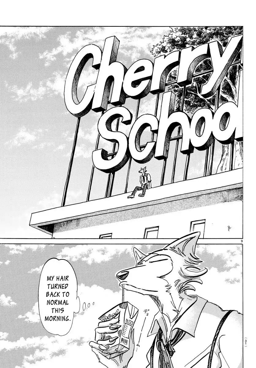 Beastars chapter 157 page 8