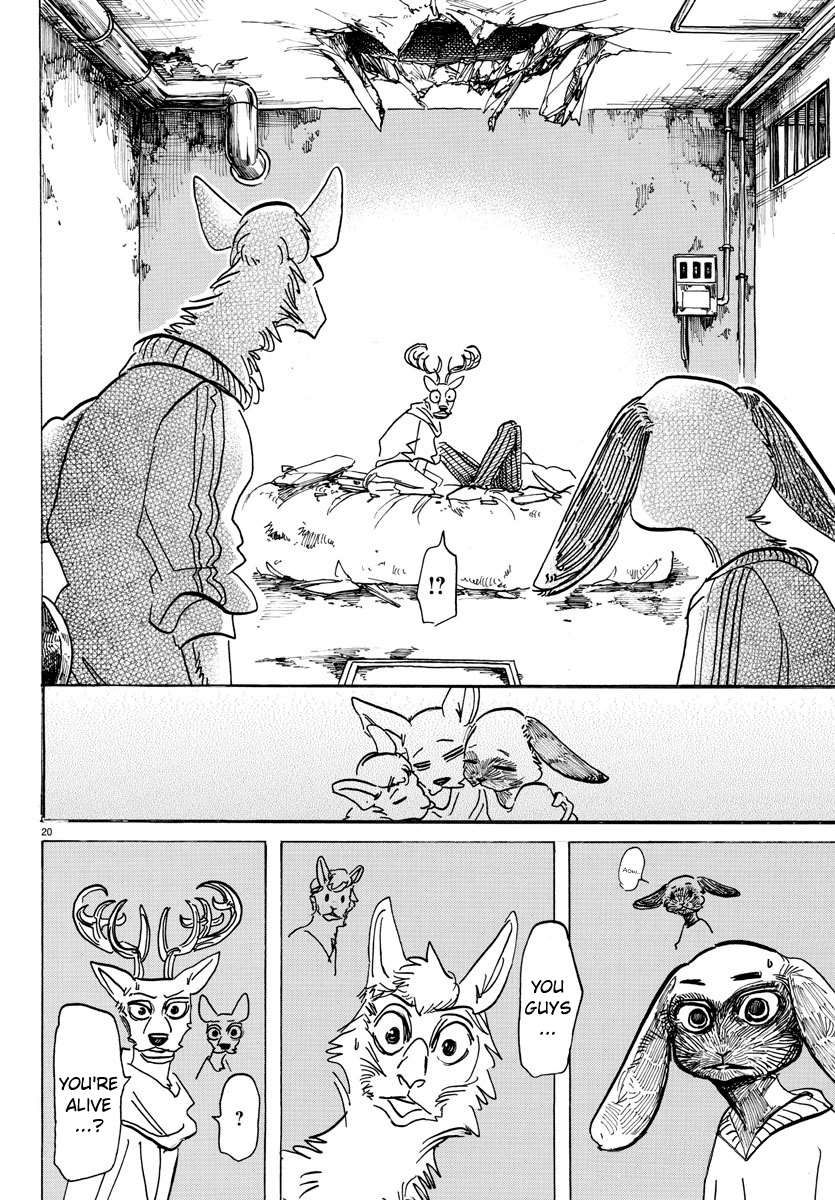 Beastars chapter 158 page 19