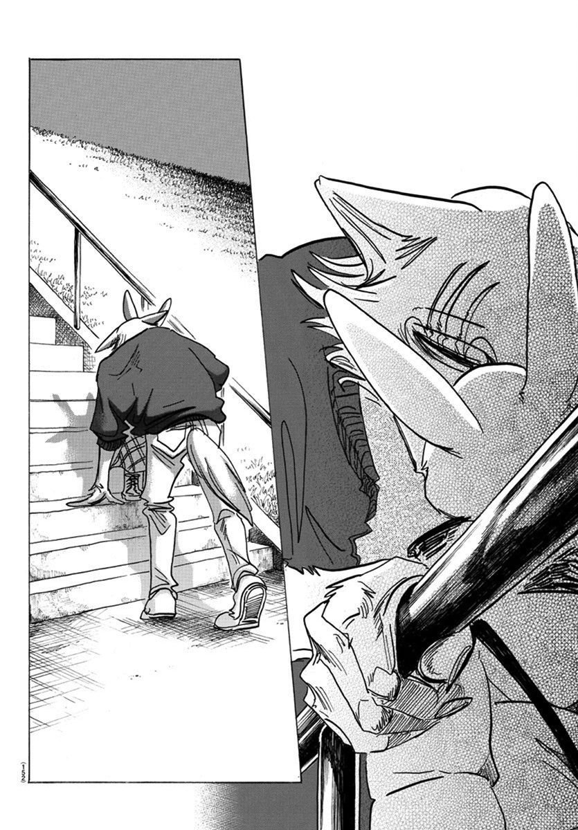 Beastars chapter 173 page 15