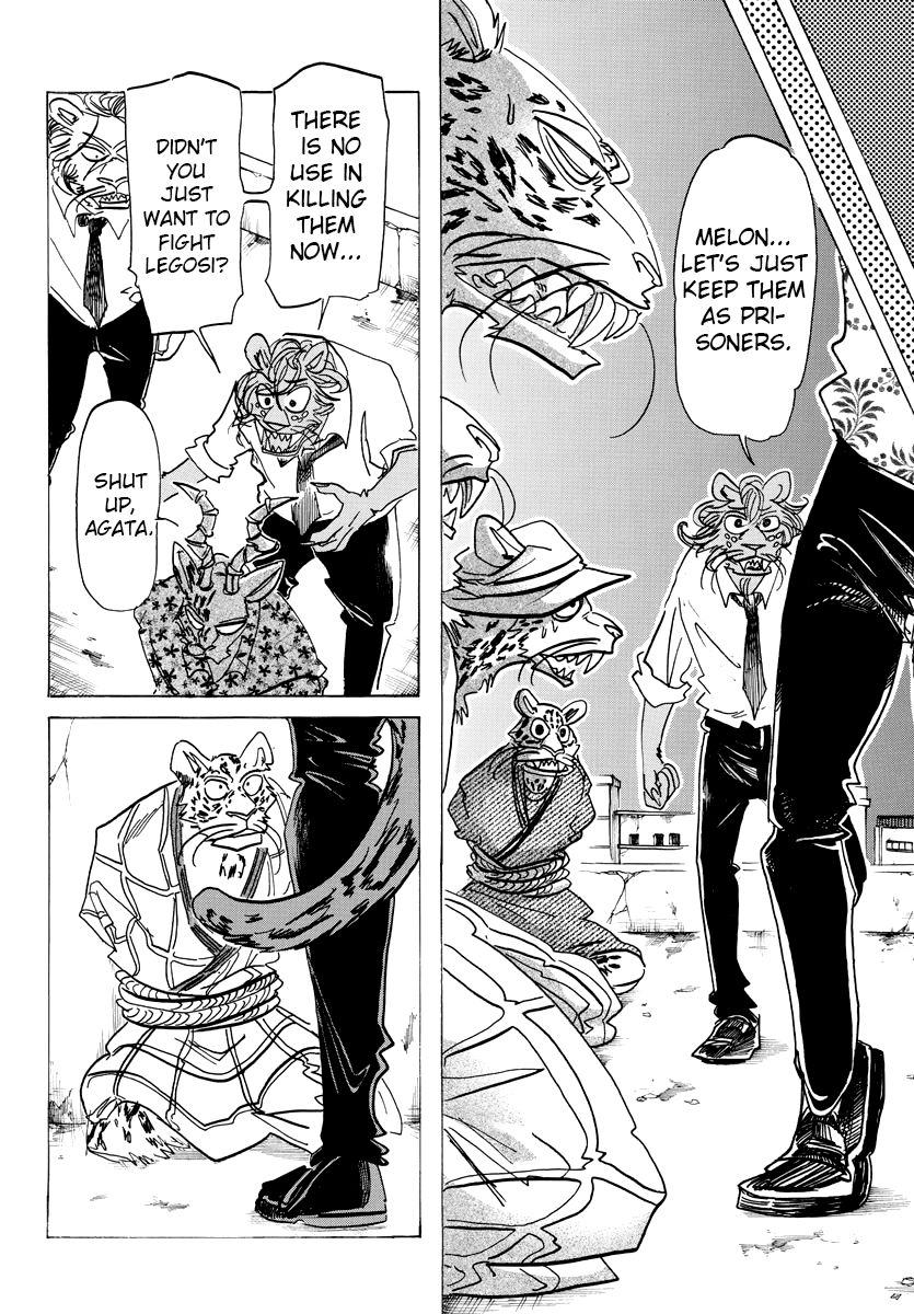 Beastars chapter 181 page 8