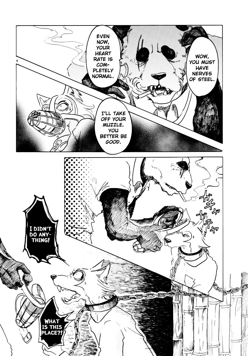 Beastars chapter 24 page 5