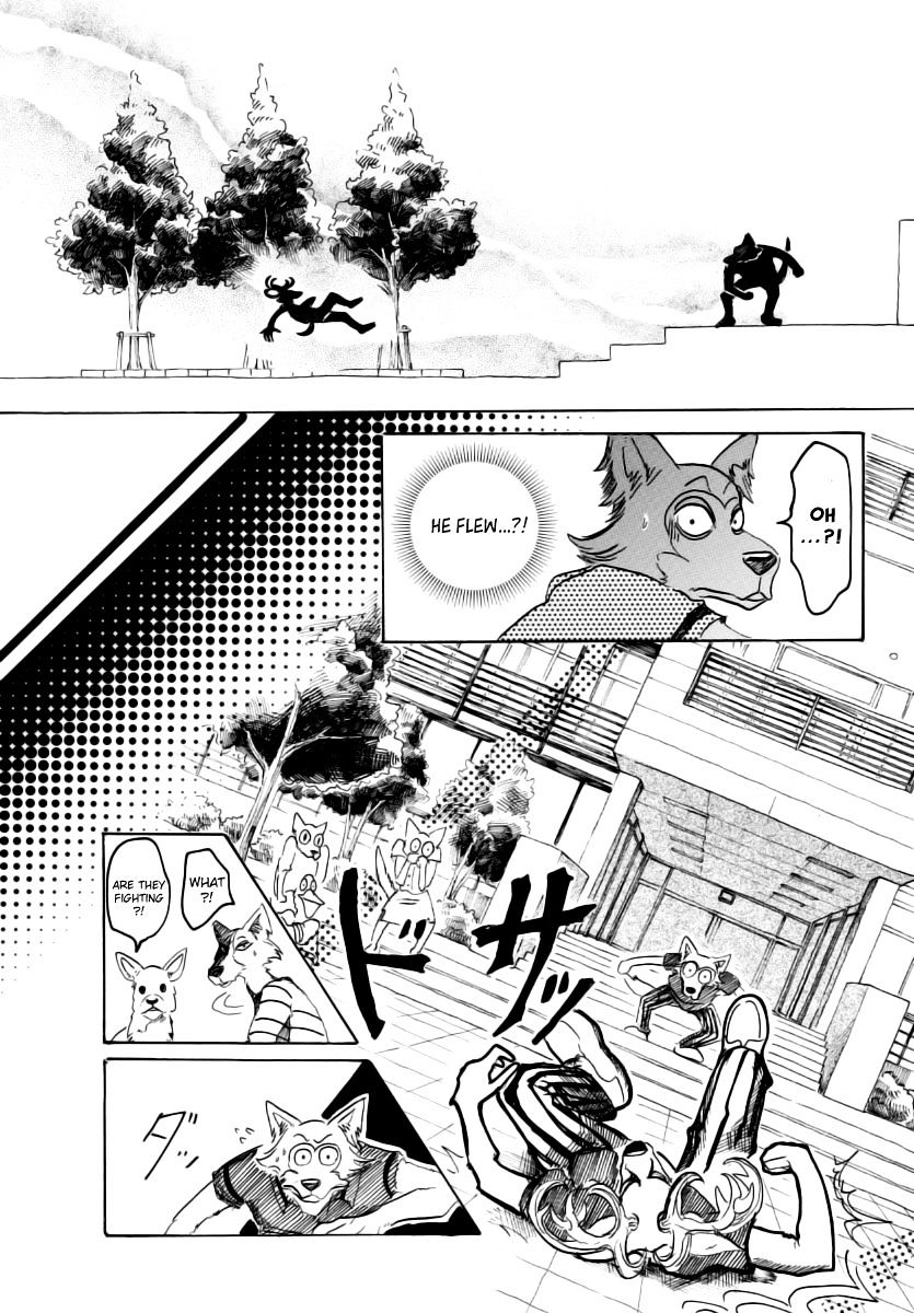 Beastars chapter 36 page 14