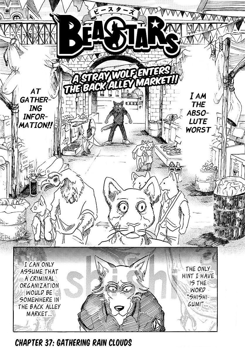 Beastars chapter 37 page 1