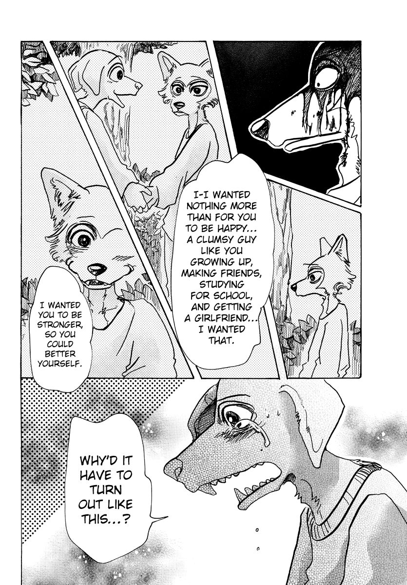 Beastars chapter 61 page 7