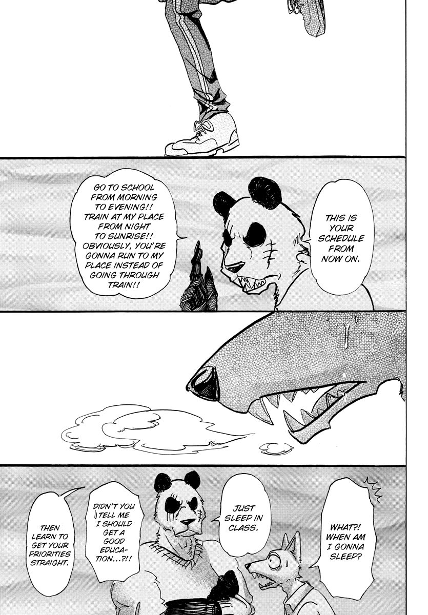Beastars chapter 62 page 17