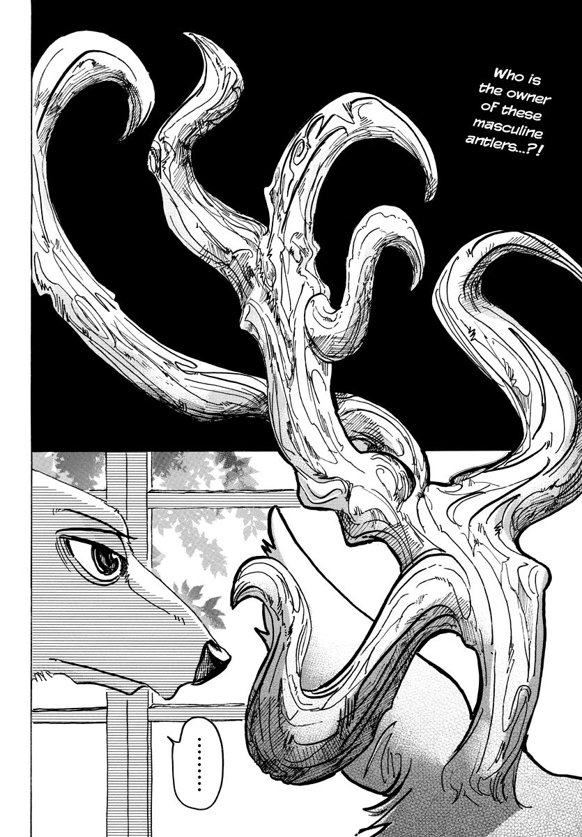 Beastars chapter 65 page 1