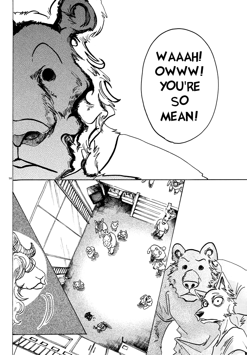 Beastars chapter 81 page 11