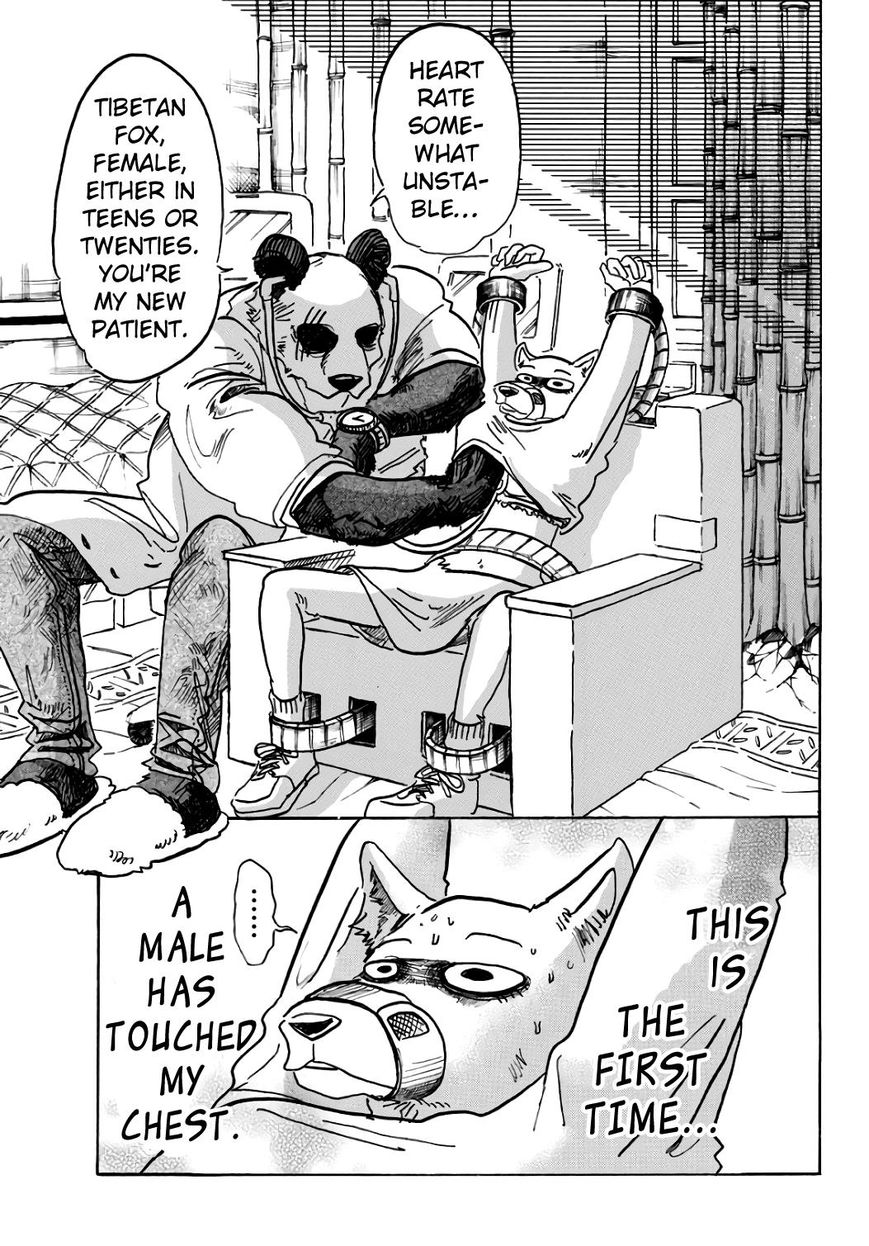 Beastars chapter 86 page 2