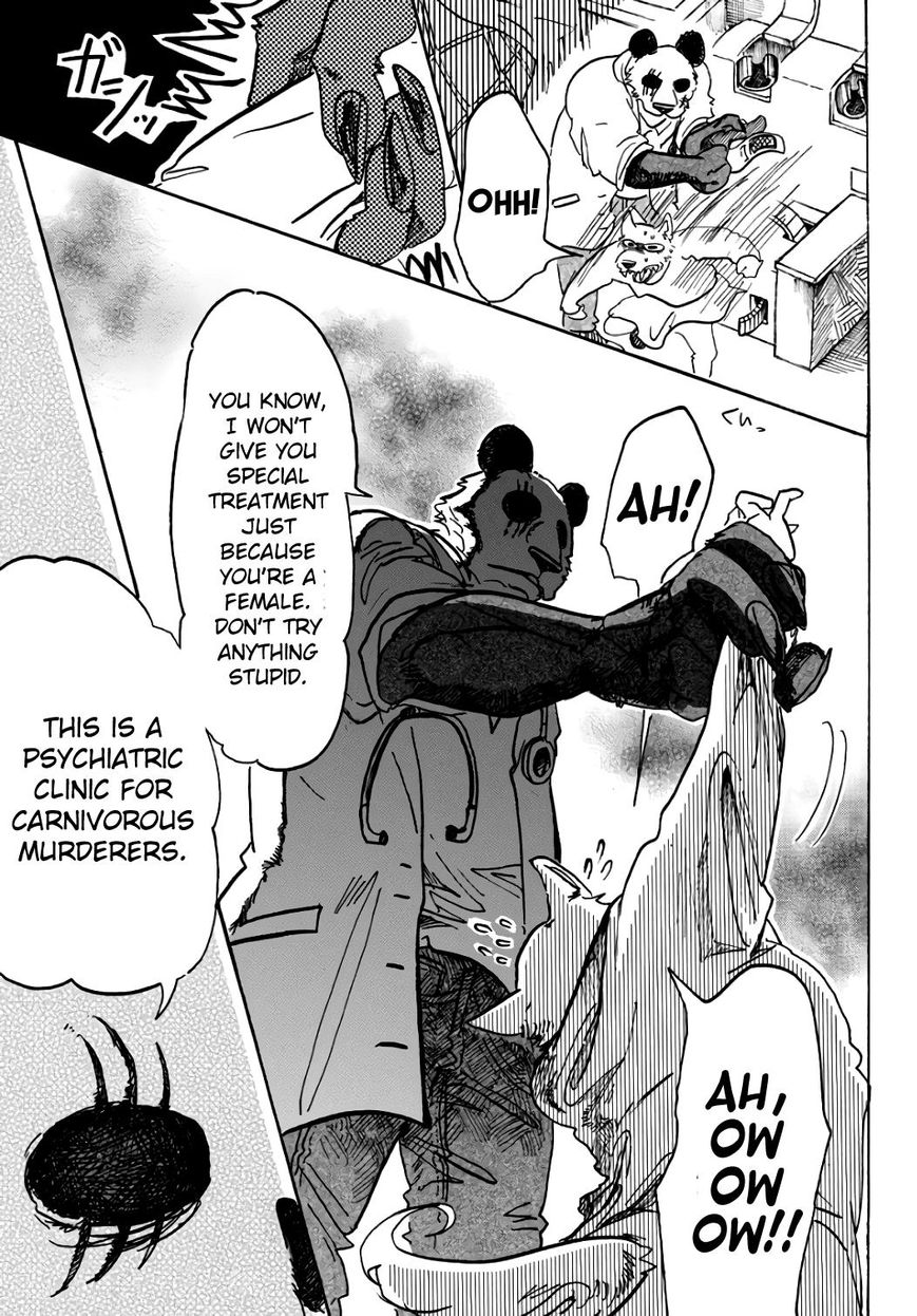Beastars chapter 86 page 4