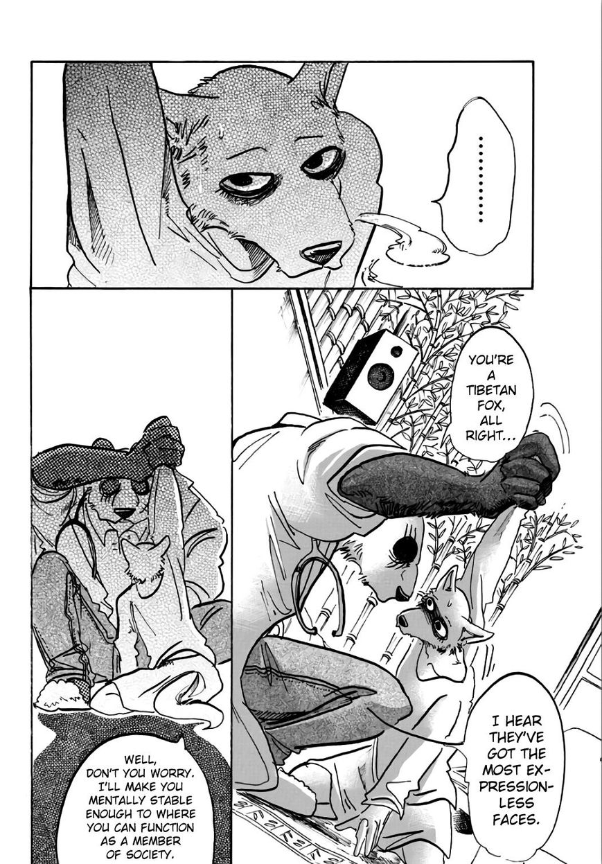 Beastars chapter 86 page 5