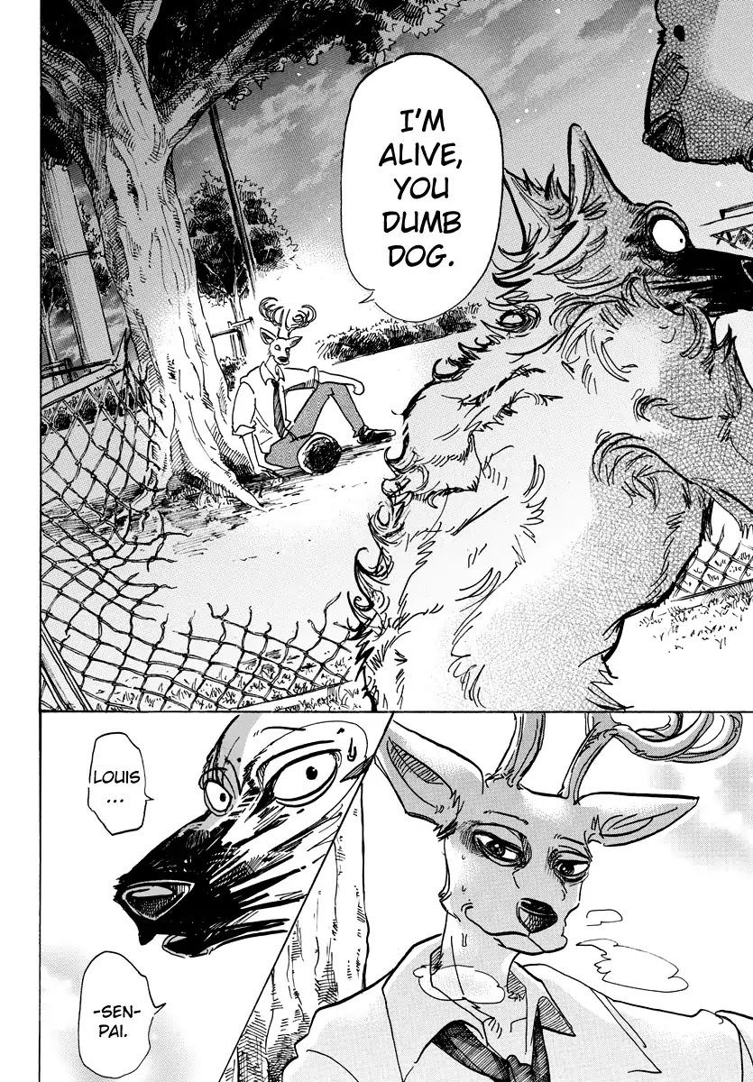 Beastars chapter 96 page 15