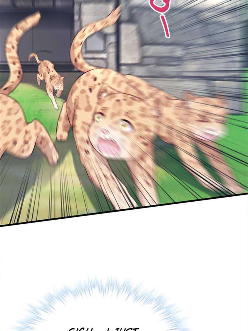 Beauty and the Beasts chapter 489 page 18