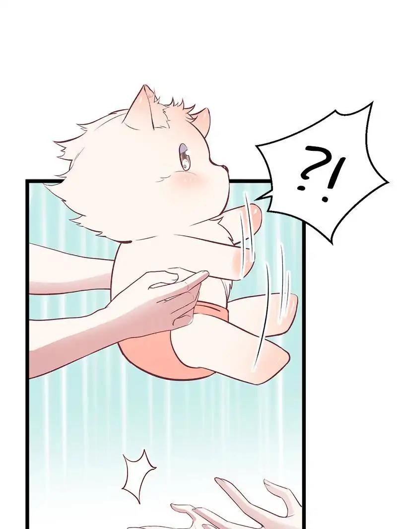 Beauty and the Beasts chapter 71 page 12