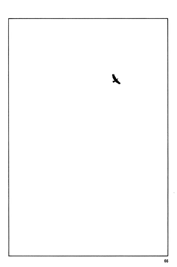 Beck chapter 43 page 65