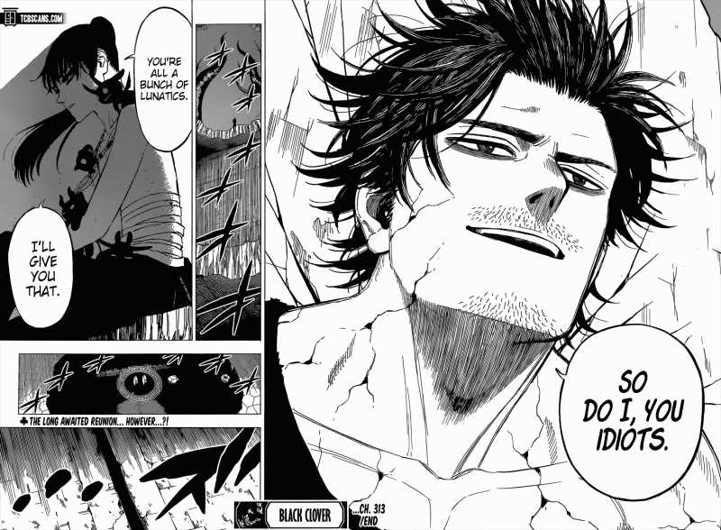 Black Clover chapter 313 page 11