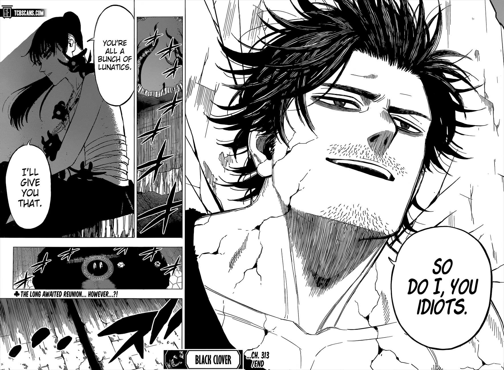 Black Clover chapter 313 page 12