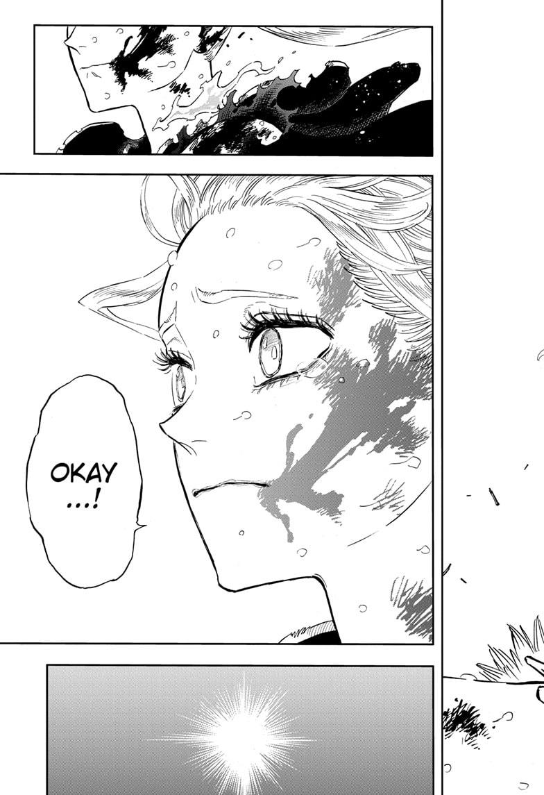 Black Clover chapter 373 page 17