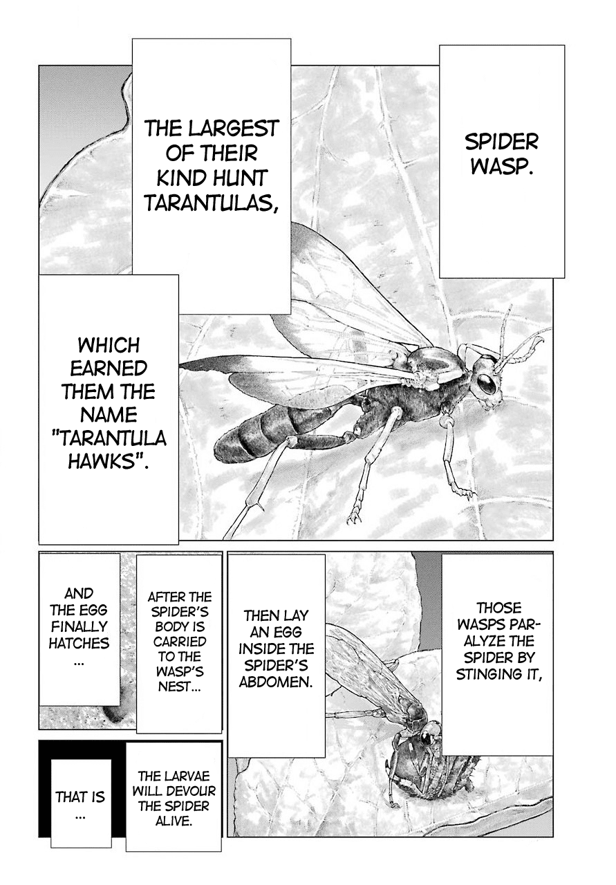 Blattodea chapter 10 page 19