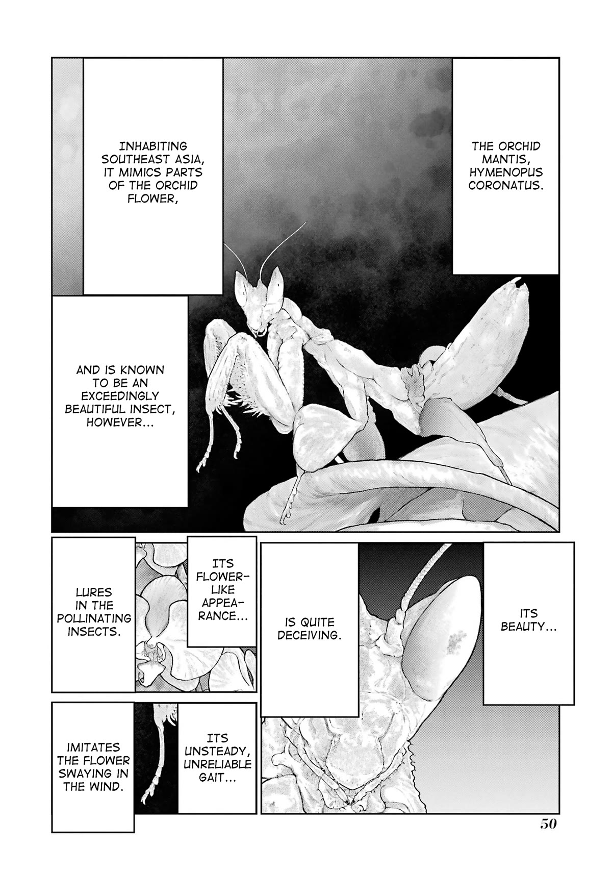 Blattodea chapter 15 page 10