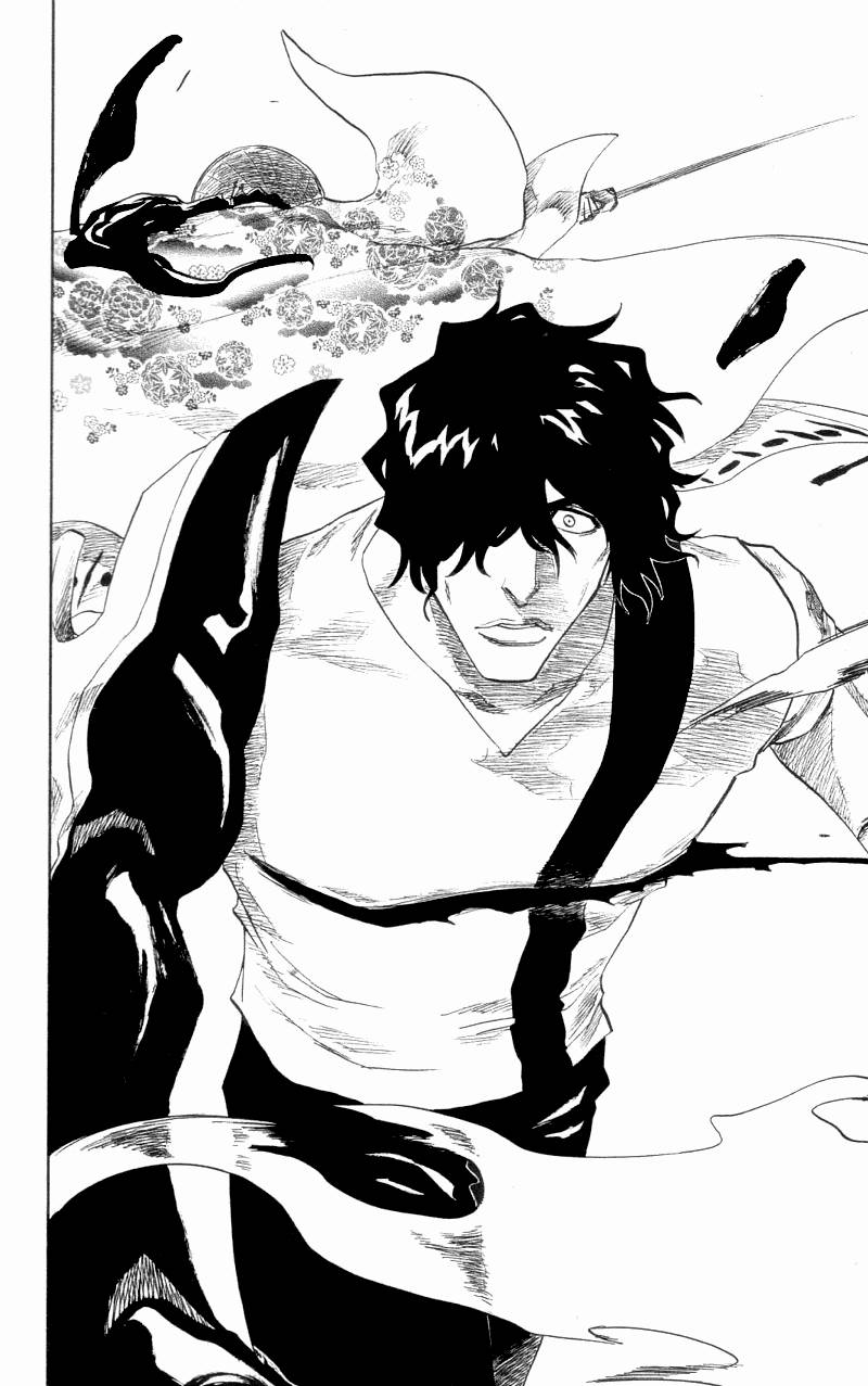 Bleach chapter 107 page 17