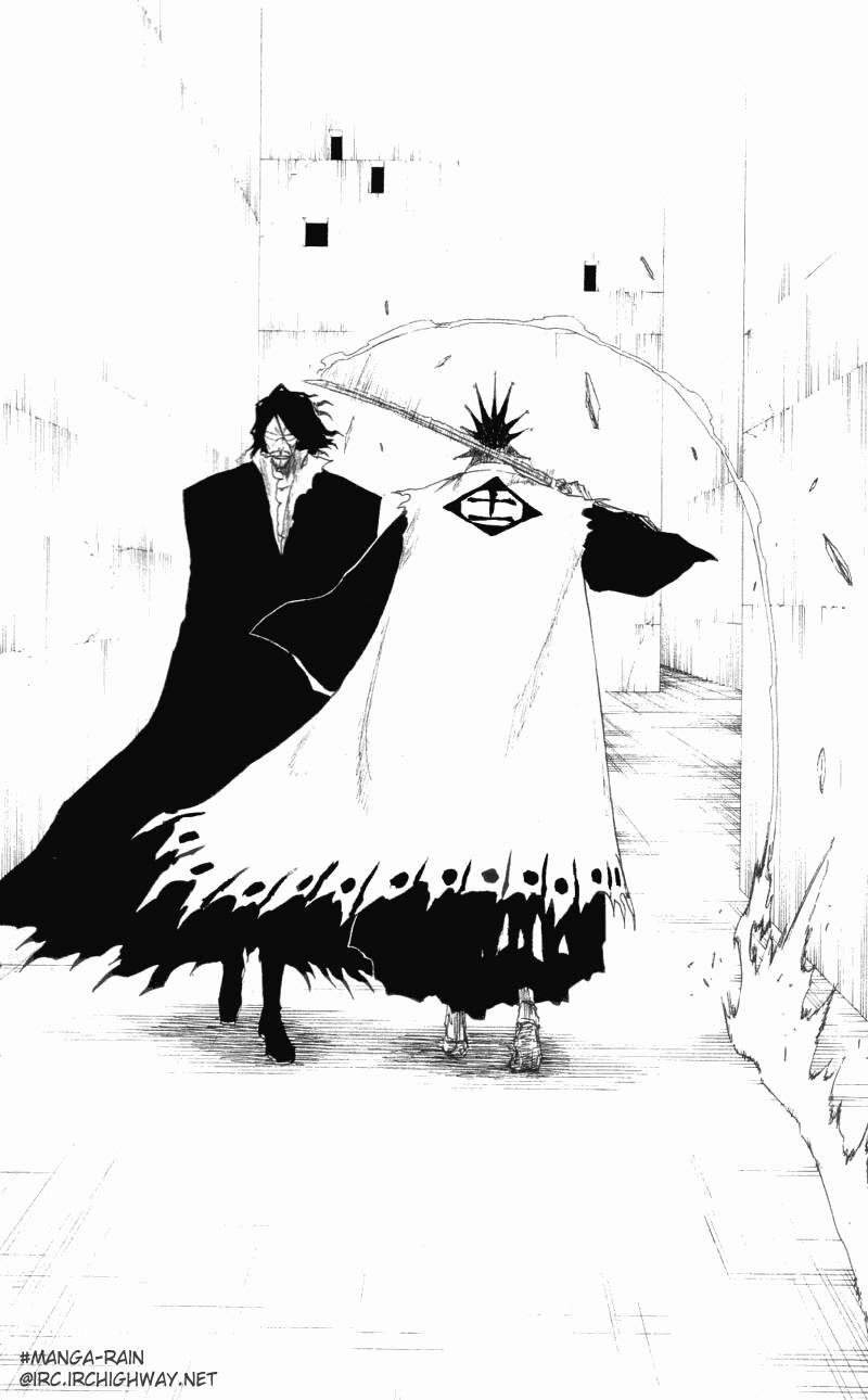 Bleach chapter 110 page 5