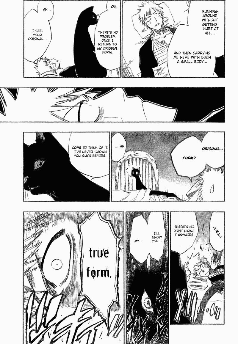 Bleach chapter 116 page 19