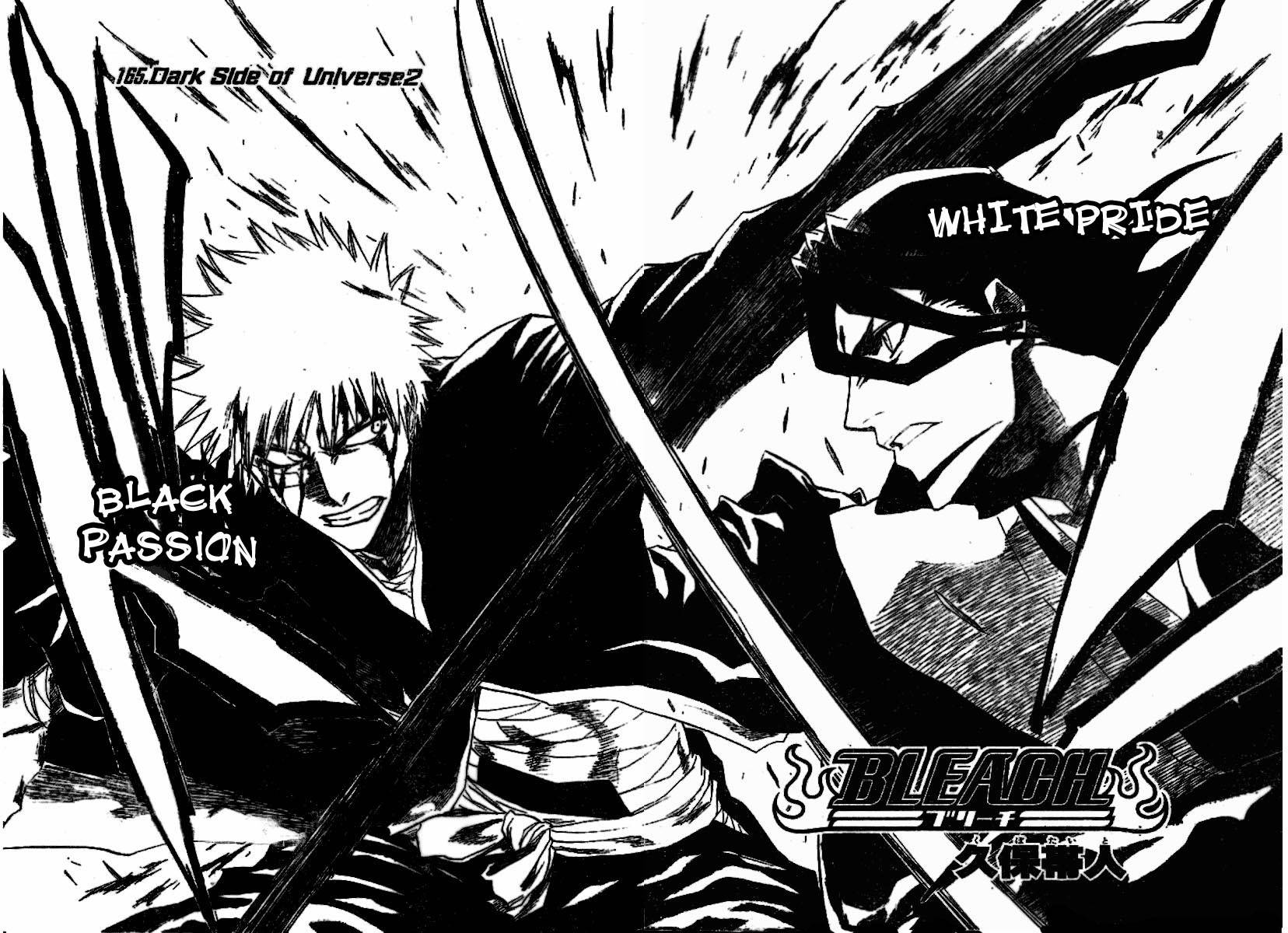 Bleach chapter 165 page 5