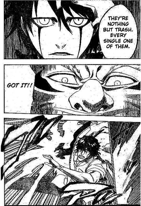 Bleach chapter 191 page 15