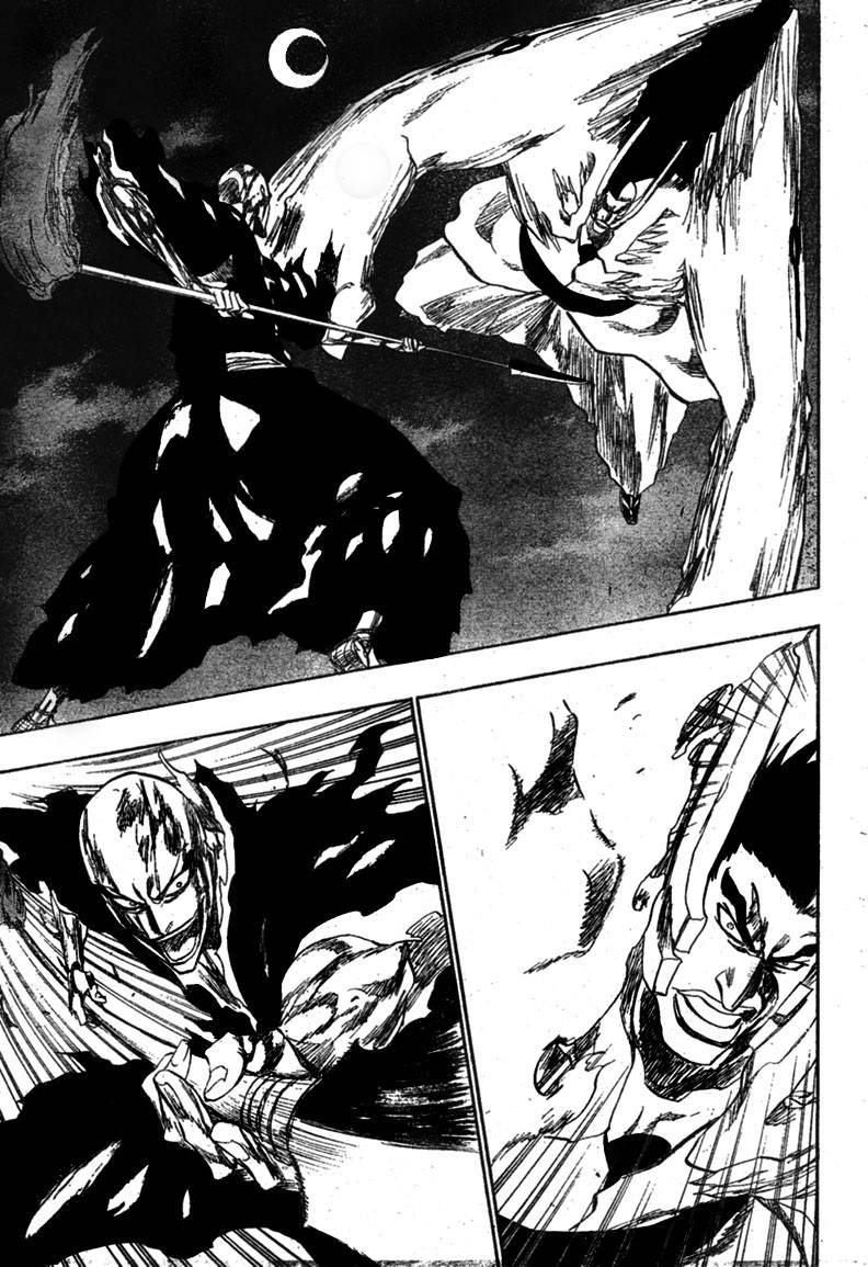 Bleach chapter 204 page 14
