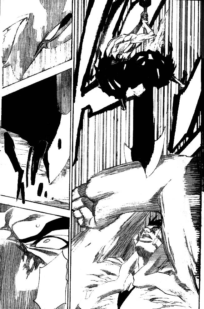 Bleach chapter 205 page 10