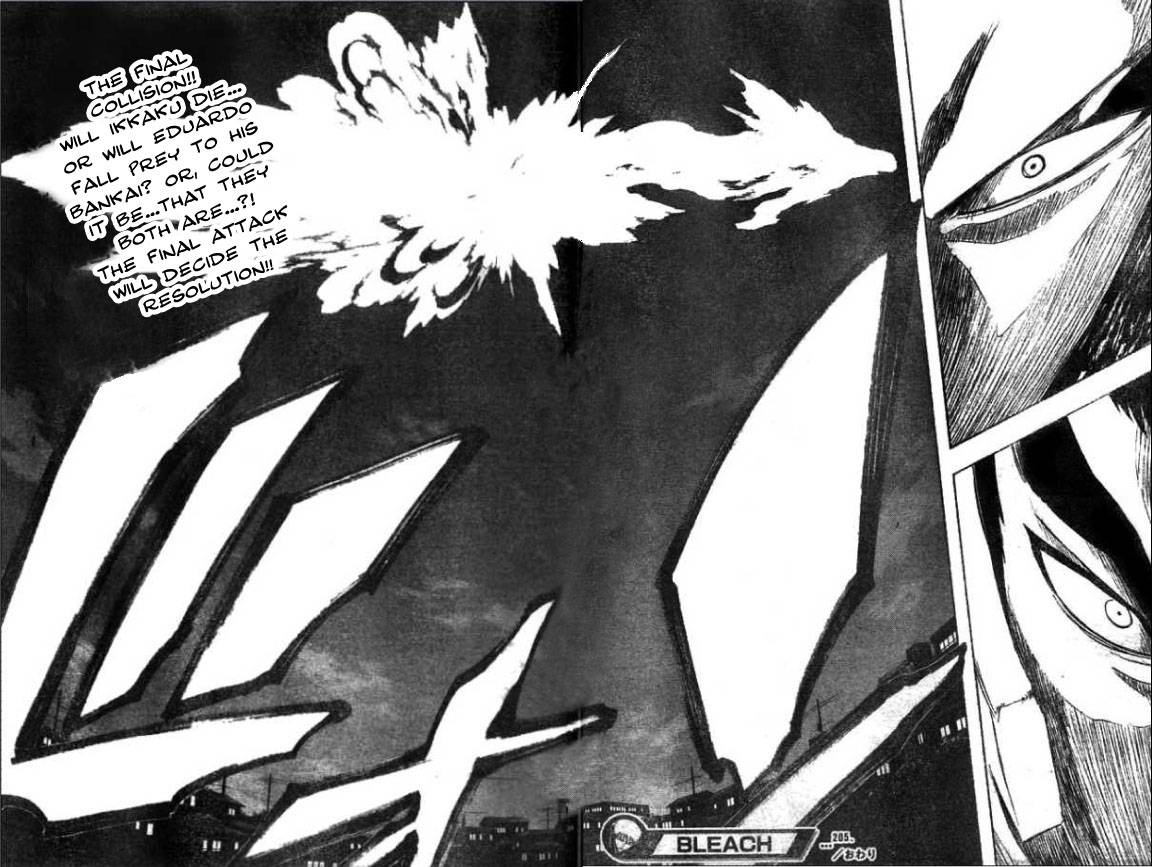 Bleach chapter 205 page 17