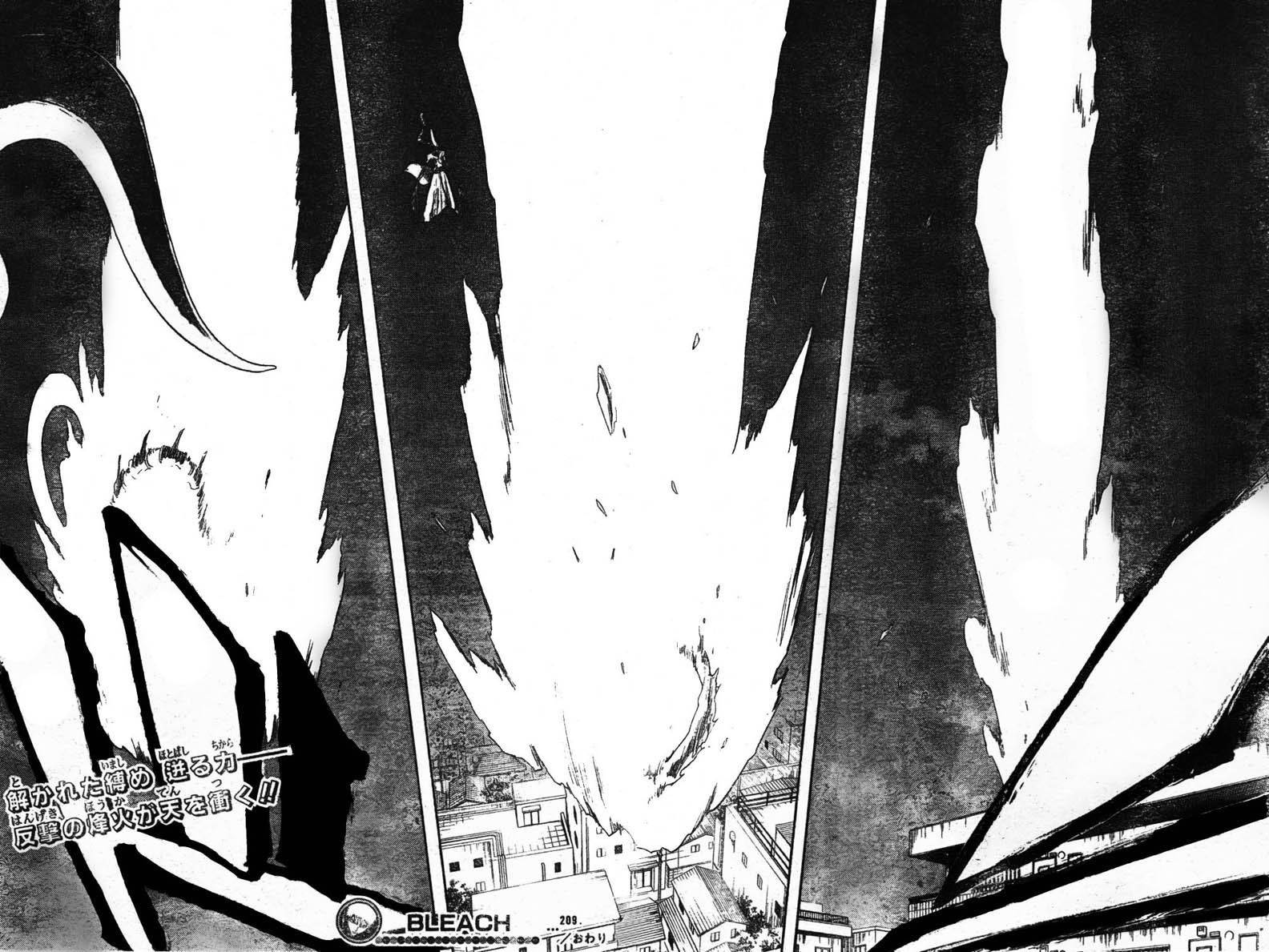 Bleach chapter 209 page 18