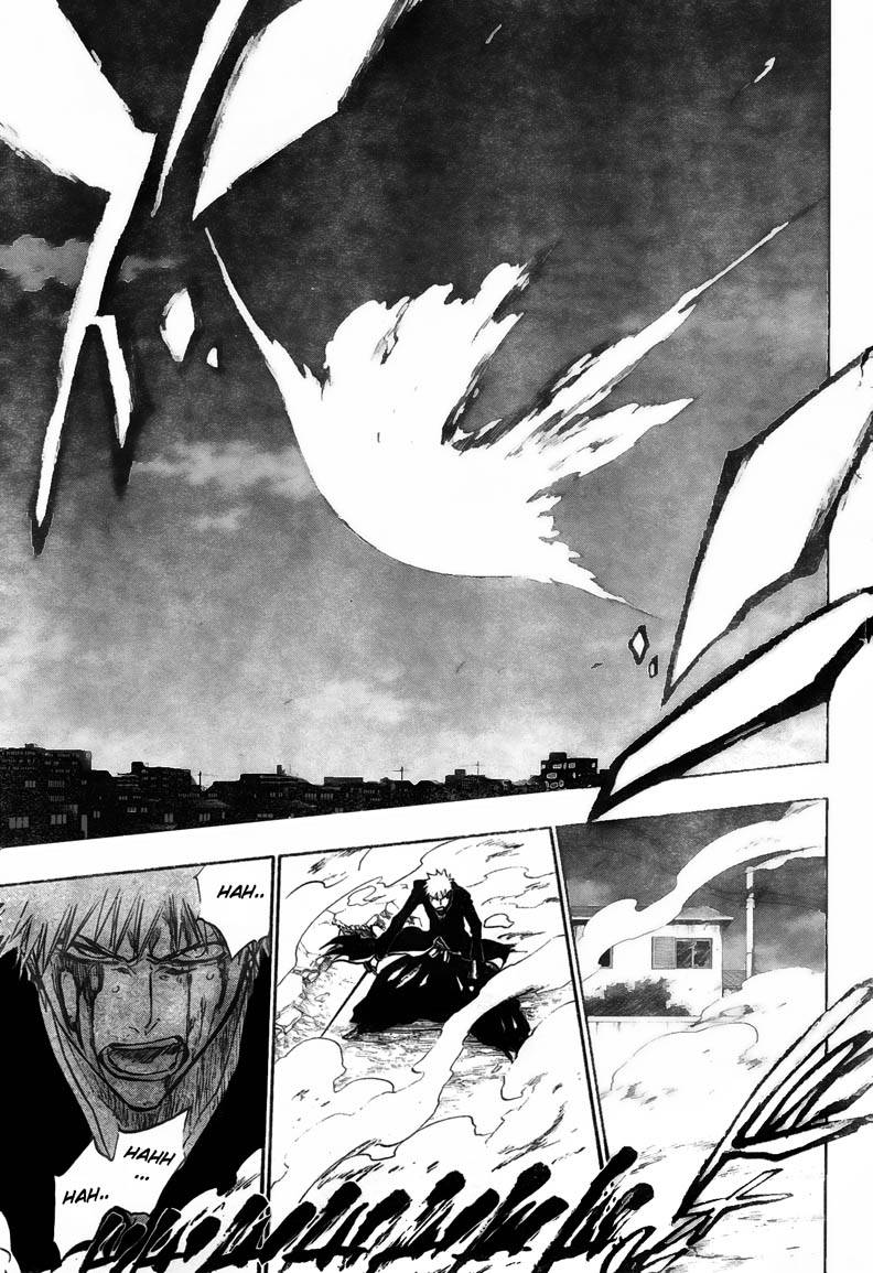 Bleach chapter 211 page 14