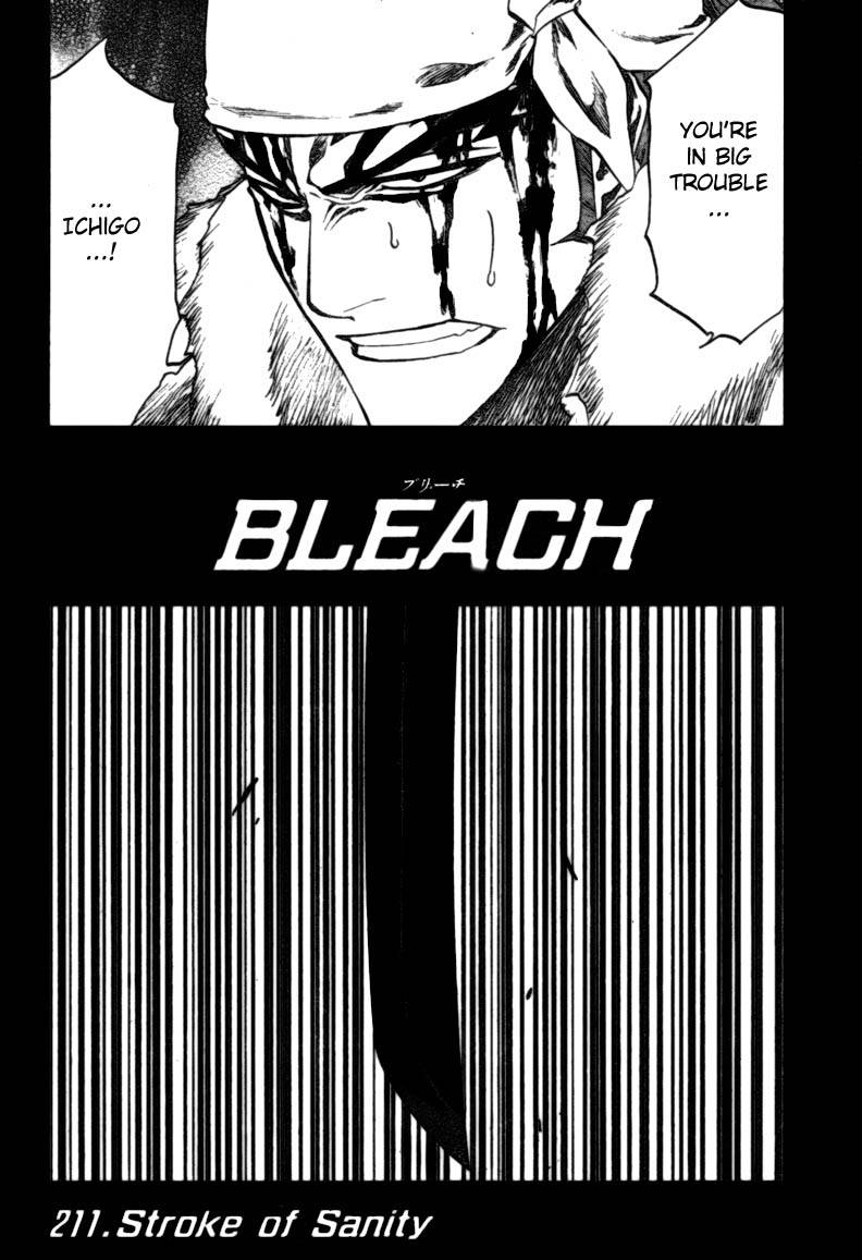 Bleach chapter 211 page 4