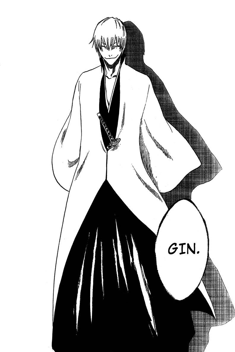 Bleach chapter 213 page 17