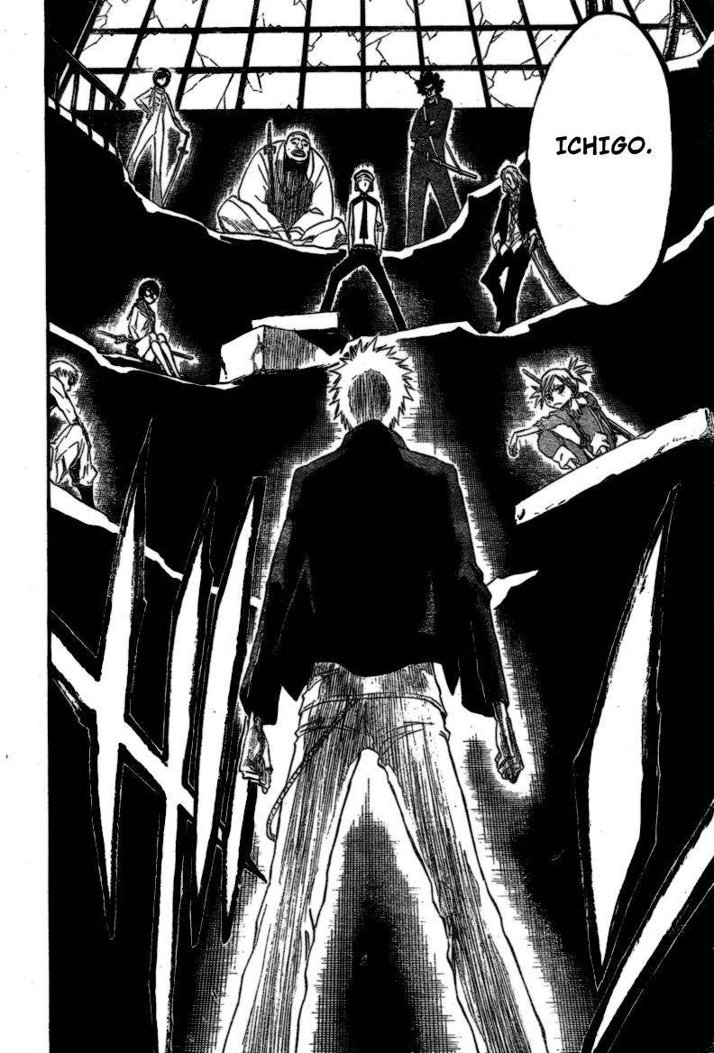 Bleach chapter 214 page 17