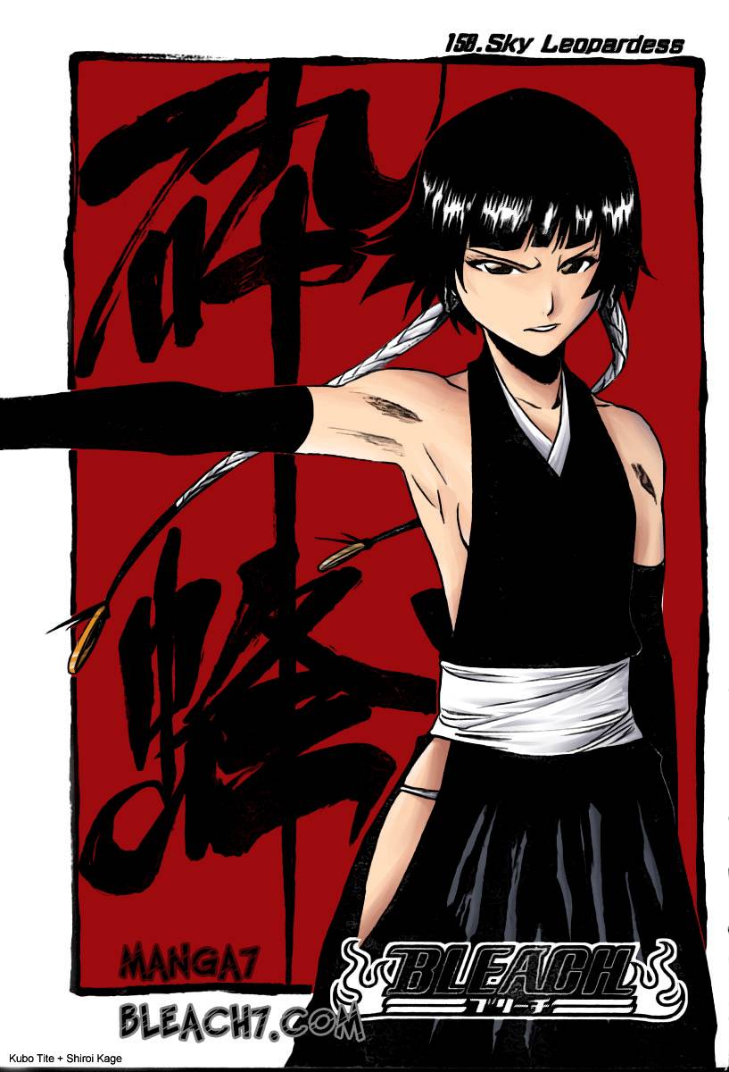 Bleach chapter 221 page 22