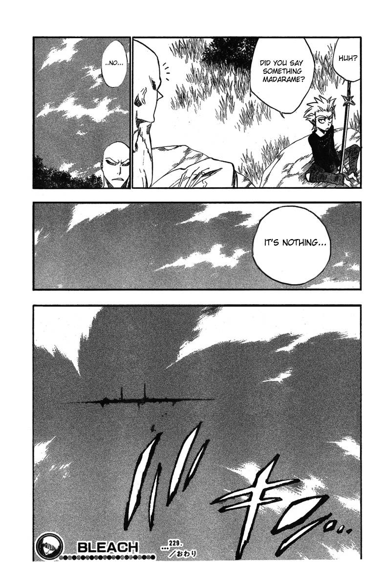 Bleach chapter 229 page 19