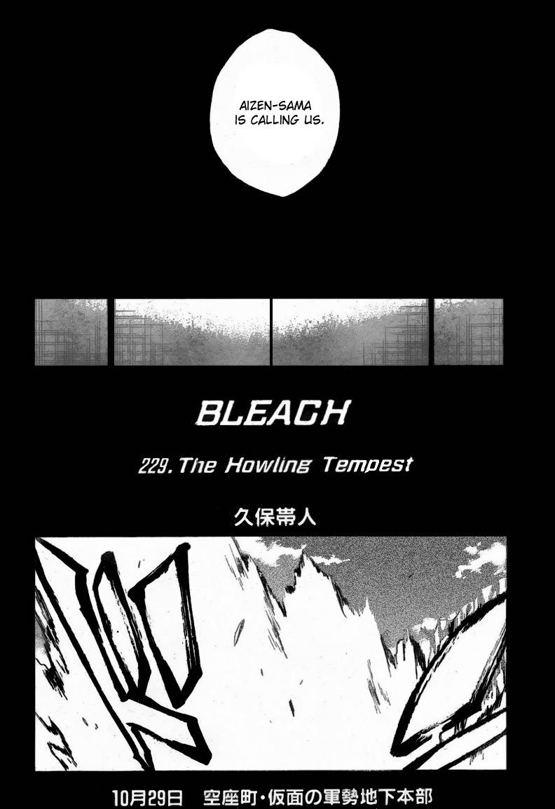 Bleach chapter 229 page 5