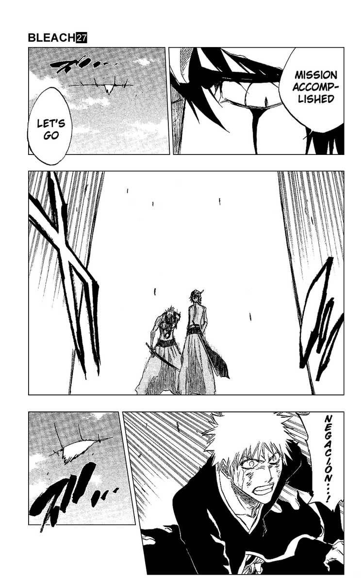 Bleach chapter 236 page 14