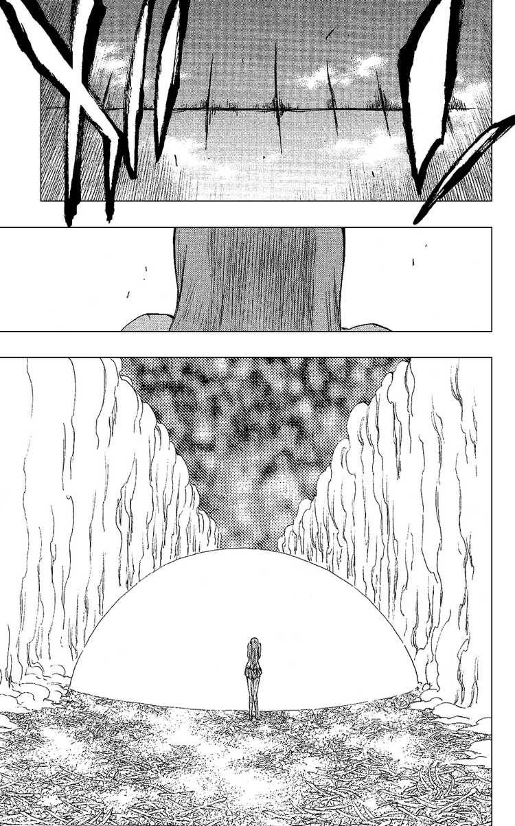 Bleach chapter 236 page 18