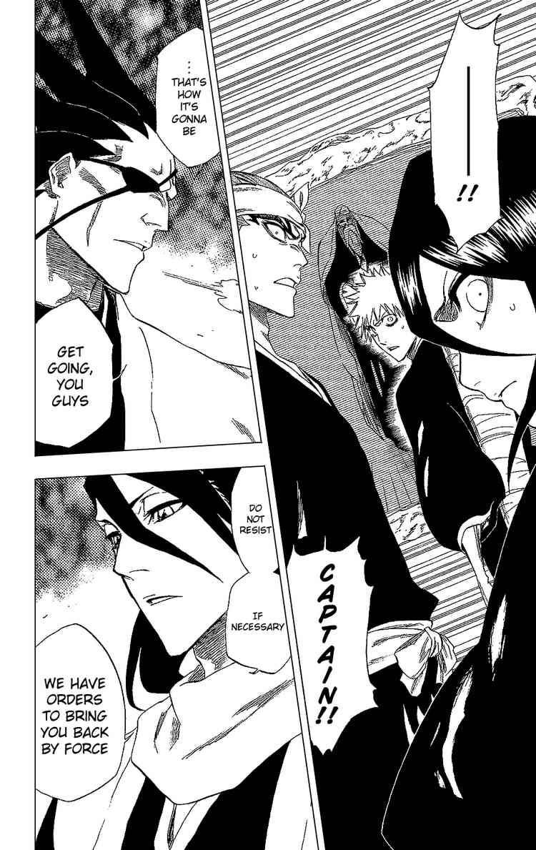 Bleach chapter 238 page 14