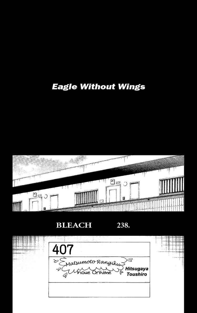 Bleach chapter 238 page 3