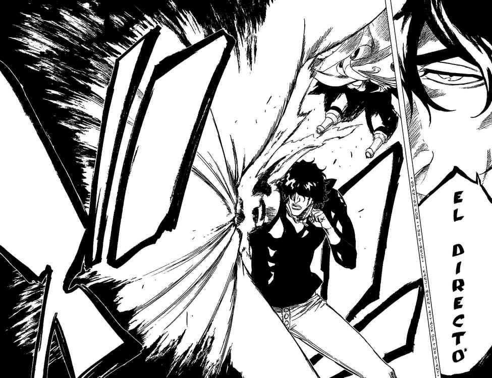 Bleach chapter 243 page 22
